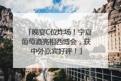晚宴C位炸场！宁夏葡萄酒亮相西博会，获中外嘉宾好评！